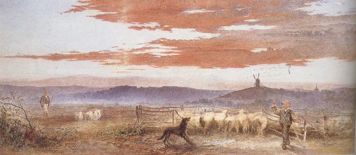 Frederick james shields Gathering the Flock at Sunset (mk37)